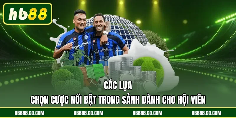 Các lựa chọn cược nổi bật trong sảnh dành cho hội viên 