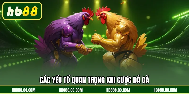 Các yếu tố quan trọng khi cược đá gà
