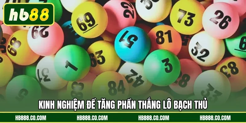 Kinh nghiệm để tăng phần thắng lô bạch thủ 