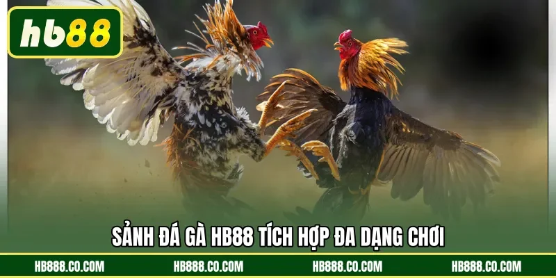 Sảnh Đá Gà HB88 tích hợp đa dạng chơi