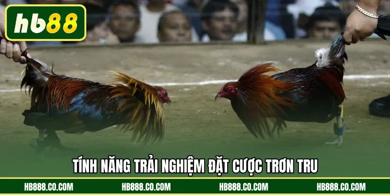 Tính năng trải nghiệm đặt cược trơn tru